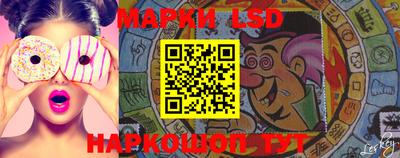 гидропоника Новозыбков