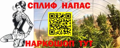 гидропоника Новозыбков