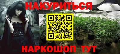 стаф Новодвинск