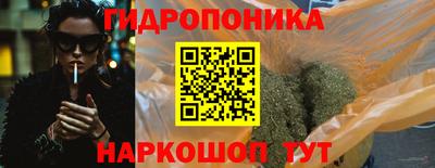 гидропоника Новозыбков