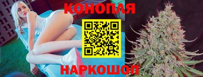 стаф Новодвинск