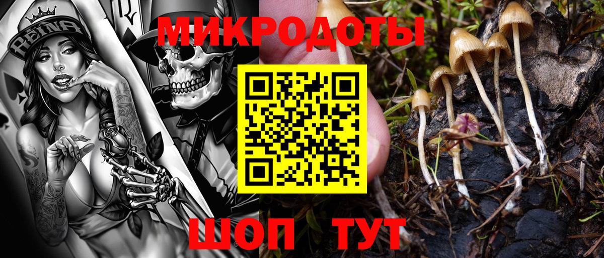 Псилоцибиновые грибы GOLDEN TEACHER Шадринск