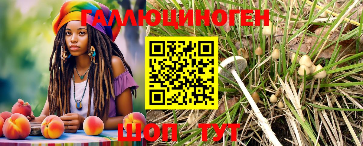 Галлюциногенные грибы Magic Shrooms  Галлюциногенные грибы мицелий  Вход с VPN  Шадринск 